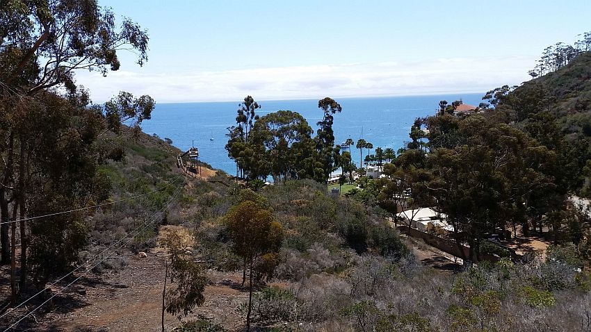 A hiker enjoying the views from Hermit Gulch trail on Catalina
